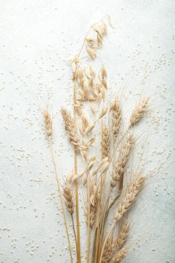 Bir demet buğday ve yulaf beyaz bir arka plan üzerinde kuru kulaklar.