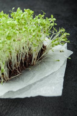 Salata sebze lahanası, mikro-siyah bir arka plan üzerinde dikey yeşil