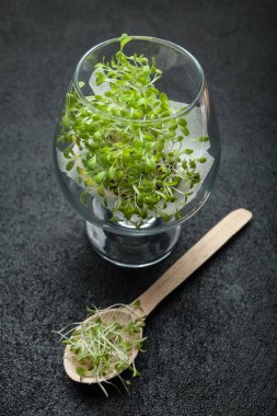 Bir bardak ve kaşık siyah bir arka plan üzerinde organik mikro-yeşil. 