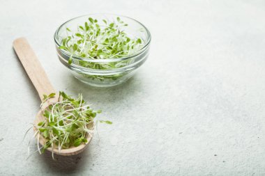 Beyaz bir arka plan üzerinde mikro oturmuş salata lahanası. Diyet için 