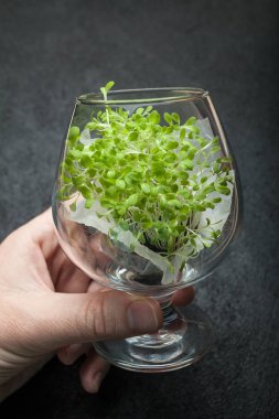 Temizlik ve sonra alkollü sarhoşluk cesedi şifa. 