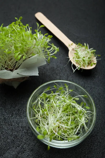 Micro greens vegetable salad on a black background, the concept