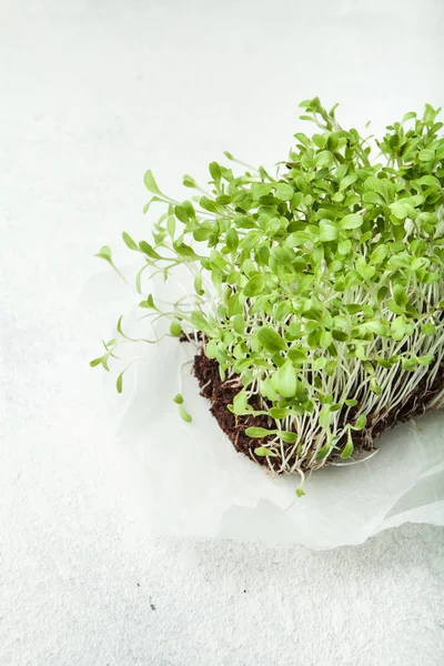 Vitamin bunch of fresh micro greens, vegetable diet.