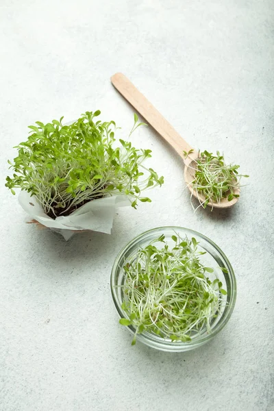Grow sprouts of micro greens for a healthy salad. Eat right, sti