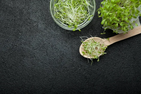 Jovens plantas verdes, mudas, brotos para comida. Espaço vazio para — Fotografia de Stock