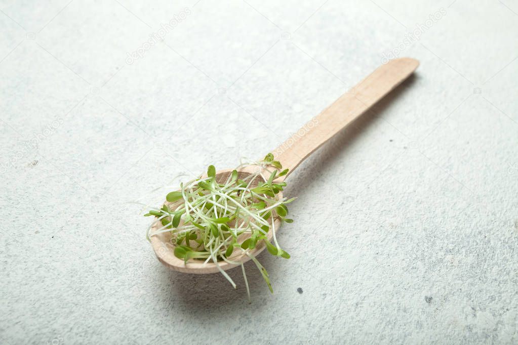 A wooden spoon on a white table with micro greens is a food full