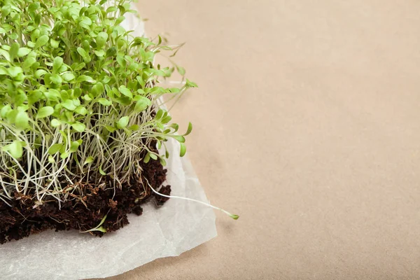 Organic micro gröna odlas hemma. Tomt utrymme för text. — Stockfoto