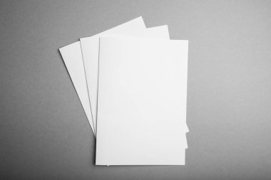 Boş katalog, dergi, kitap şablonu yumuşak gölgeler. Boş 