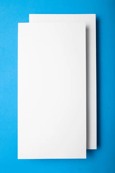 Prázdné firemní styl Dl leták je izolovaná na modré poz — Stock fotografie