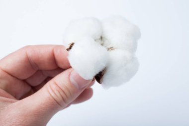 Beyaz pamuklu beyaz zemin üzerinde bir elinde bir çiçek.