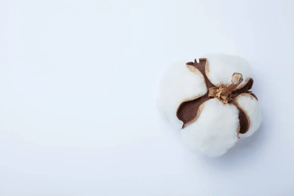 Pezzo di cotone naturale su sfondo bianco. Copia spazio . — Foto Stock