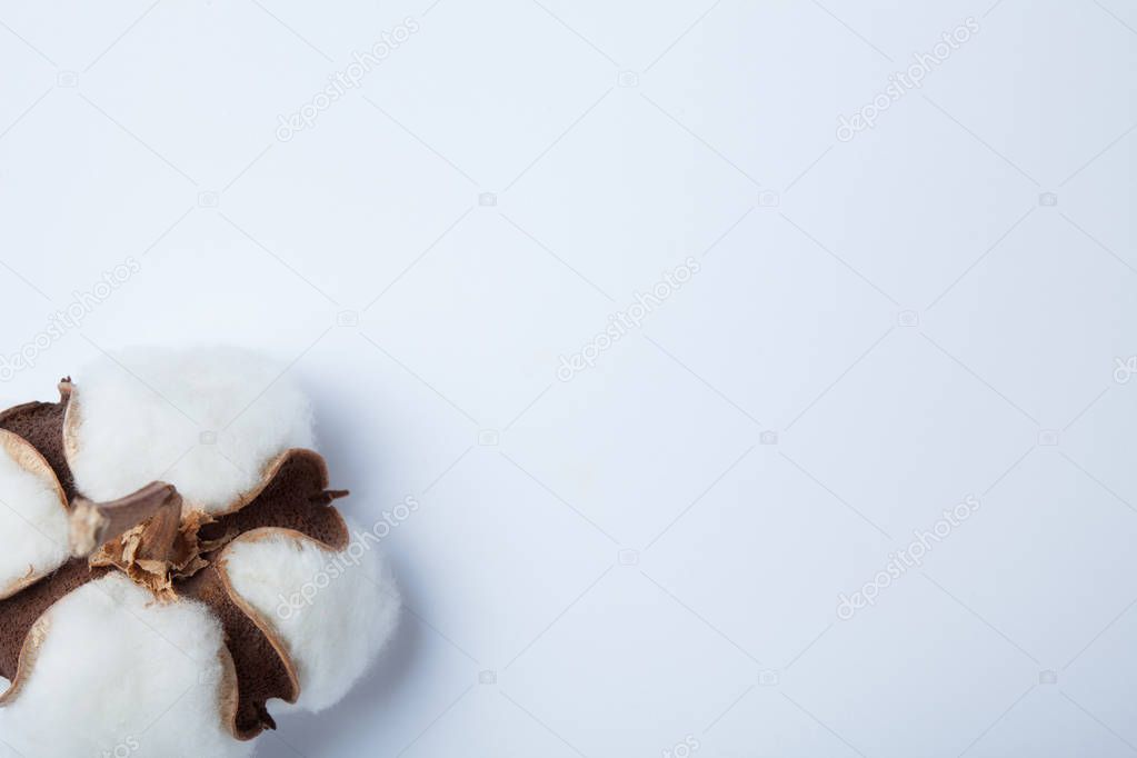 Soft white cotton on a white background. Empty space for text.