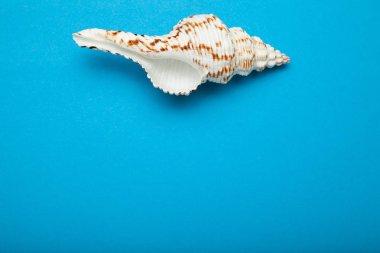 Büyük bir lavabo, yaz tatili kavramı. Te için boş alan