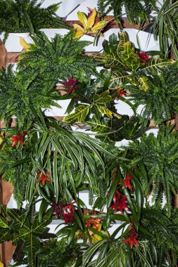 Sert gölgeler ile dikey tropikal yaprak deseni. Dekoratif lea