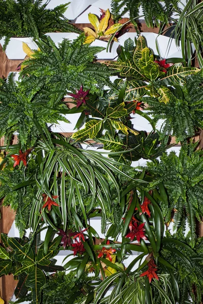 Sert gölgeler ile dikey tropikal yaprak deseni. Dekoratif lea