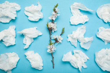 Naneli peçeteler ve çiçekli bir ağacın dalı. Alerji kavramı.