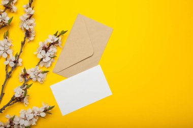 Zarf ve boş davetiye, sarı bir arka plan üzerinde çiçekli kayısı dalları. Metin için alan kopyalama.