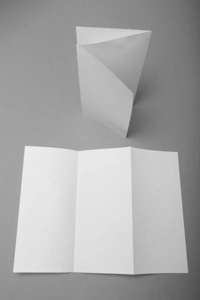 Mockup de brochura em branco, folheto triplo de papel DL . — Fotografia de Stock