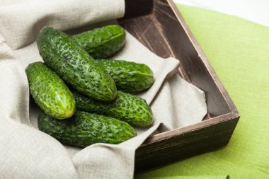 Tarım salatalık hasat arka plan. Taze salata.