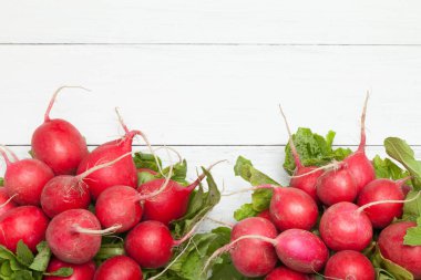 Bio demet kırmızı turp bitki, tarım yakın. Metin için alan kopyalama.