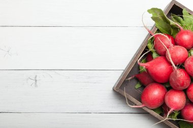 Turp tarım çiftçi kavramı, metin için alan kopyalamak.