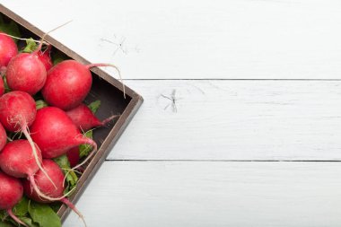 Kırmızı turp kökü bitkisi. Ahşap tahta, tarım geçmişi. Metin için alan kopyalama.