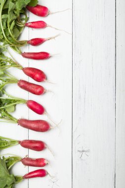 Çiftçi tarım turp demet. Taze diyet aşçısı. Metin için alan kopyalama.