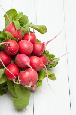 Organik vegan turp, bahar taze çiğ sebze.