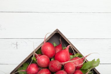 Bahar organik vegan turp, kök salata bitki.