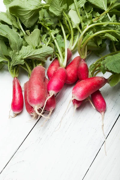 Rábano vermelho de ramo cultivado, close-up . — Fotografia de Stock