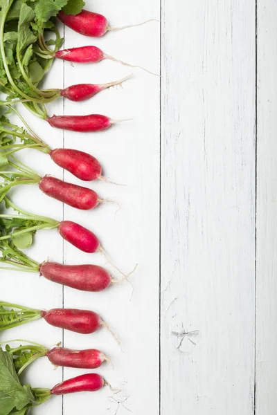 Çiftçi tarım turp demet. Taze diyet aşçısı. Metin için alan kopyalama.