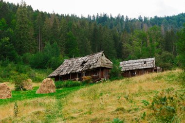 Ormandaki kulübe, vahşi doğa. Eski geleneksel bina.