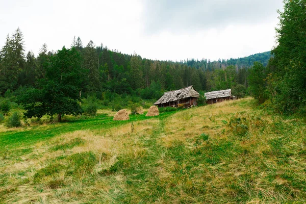 Stary domek w lesie, zabytkowe kabiny. Jesienny dzień. — Zdjęcie stockowe