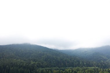 Dağ ormanlarında güzel bulutlar, alpler sis.