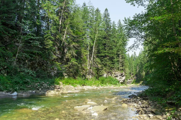 Ποτάμι σε άγριο δάσος, φυσικό φόντο. Όμορφη εξοχή. — Φωτογραφία Αρχείου