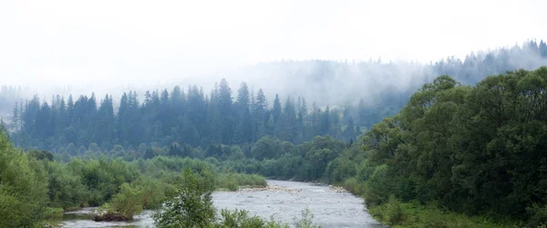 Лісова ялинова атмосфера, туман у повітрі. Осінній схил атмосфери . — стокове фото