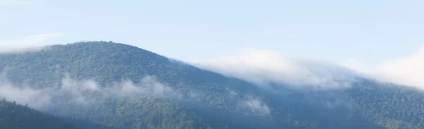 Montaña niebla fondo, niebla forestal, niebla paisaje . — Foto de Stock