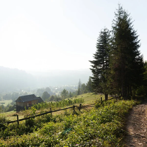 Ukraina Karpaty górskie lato wioska w dolinie. — Zdjęcie stockowe