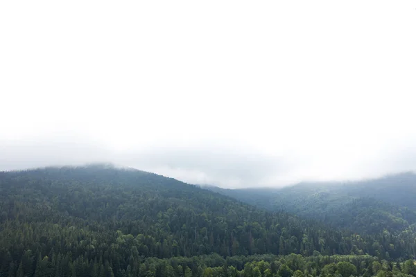 Облака в горном лесу, альпийский туман . — стоковое фото