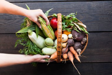 Taze rustik organik hasat, çiftçi üretmek.