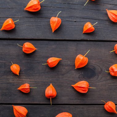 Sonbahar physalis çiçek arka plan kompozisyon. Siyah masa kibir