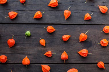 Sonbahar physalis meyve arka plan, egzotik gıda.