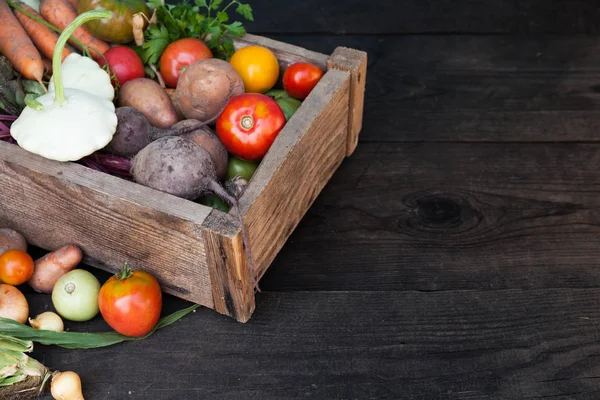 Vegetais apetite antioxidante, colheita de alimentos antioxidantes . — Fotografia de Stock