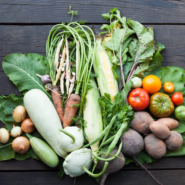 Biolandmarkt, frische Gartenernte. — Stockfoto