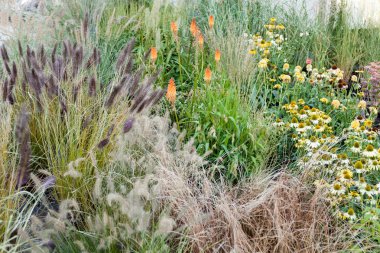 Yeşillik, bahçecilik, botanik dekorasyon otları. Bahçe işareti