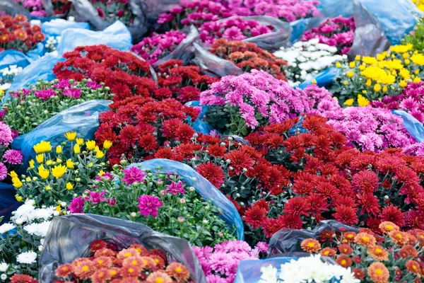 Hermosa tienda de ramo de flores, hermosa decoración de jardín . — Foto de Stock