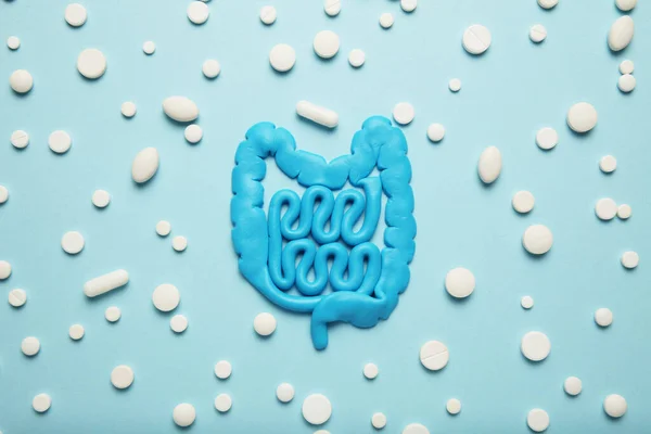 Bağırsaklar, haplar, probiyotikler, antibiyotikler. Bağırsak koruması, hastalıktan ve tedaviden kurtulma.