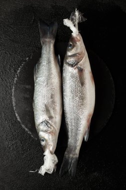 Ölü balık ve okyanus kirliliği, çevrede plastik torba. Deniz yaban hayatı, ekosistem tehlikesi.