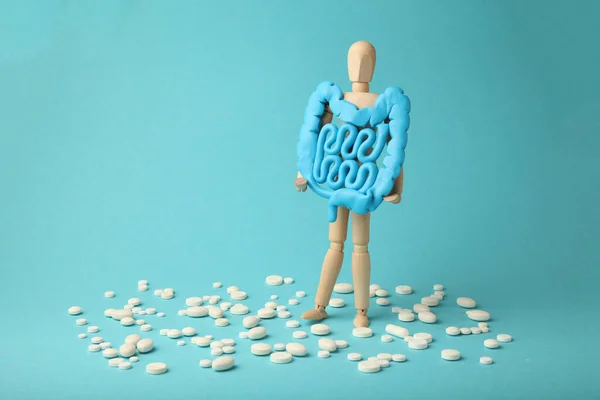 İnsan figüründeki sağlıklı bağırsaklar. Sindirim sorunları, kolik, disbakteriyoz. Sindirim ilaçları, probiyotik haplar..