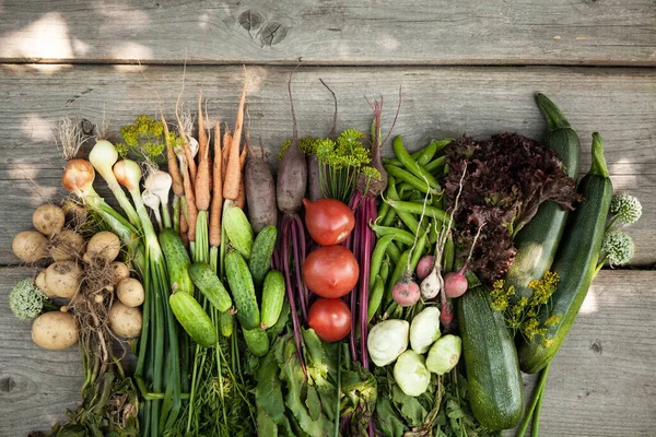 Fresh Organic Raw Vegetable Food Natural Agriculture Farm Healthy Harvest — Stock Photo, Image